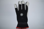 DSC_0633.JPG